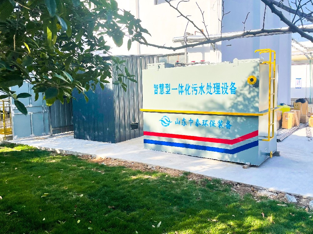 次氯酸鈉發(fā)生器在乳制品企業(yè)冰淇淋制作水消毒中的應(yīng)用